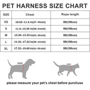 Step-In Reflective Mesh Pet Harness and Leash Set