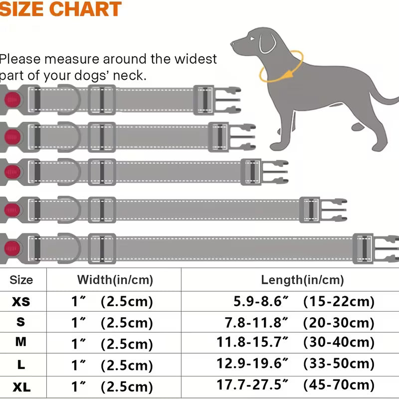Adjustable Reflective Padded Nylon Safety Pet Collar