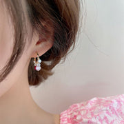 💎Shiny Colorful Dangle Pomegranate  Earrings
