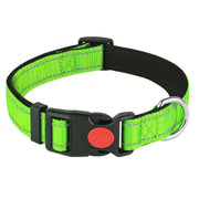 Adjustable Reflective Padded Nylon Safety Pet Collar