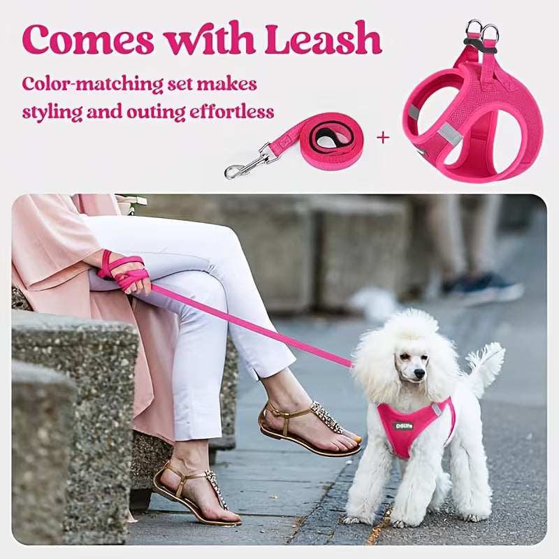 Step-In Reflective Mesh Pet Harness and Leash Set