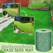 🔥Biodegradable Grass Seed Mat