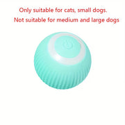 Smart Auto Rolling Electric Ball Toy for Pets