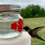 💗Mother's Day Gift -Beautiful Mason Jar Hummingbird Feeder w\/Three Ports