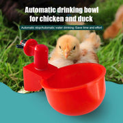 (💦EARLY SUMMER HOT SALE- 49% OFF💦)  🎉Automatic Poultry Water Bowl (5Pcs\/set) 💥 BUY 2 GET 1 FREE