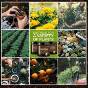 🔥Last Day Promotion Save 49%🔥 Soil Revitalization Treasures -- Create the Perfect Garden