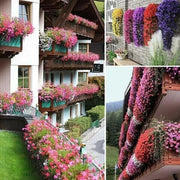 🔥Last Day 49% OFF - 🌺🌷Vivid Artificial Hanging Orchid Bunch（🔥BUY 5 FREE SHIPPING🔥）
