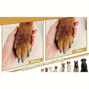 Square Scratch Pad Nail File Care Tool for Pets