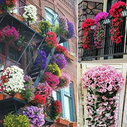 🔥Last Day 49% OFF - 🌺🌷Vivid Artificial Hanging Orchid Bunch（🔥BUY 5 FREE SHIPPING🔥）