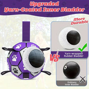 Interactive Pet Soccer Ball Tug of War Toy with Handle