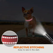 Adjustable Reflective Padded Nylon Safety Pet Collar