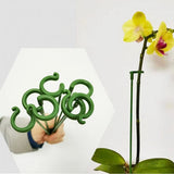 [🎉Summer Sale]  Upgrade Fiberglass Plant Support Stake