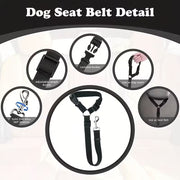 Adjustable Pet Car Safety Seatbelt Harness for Travel