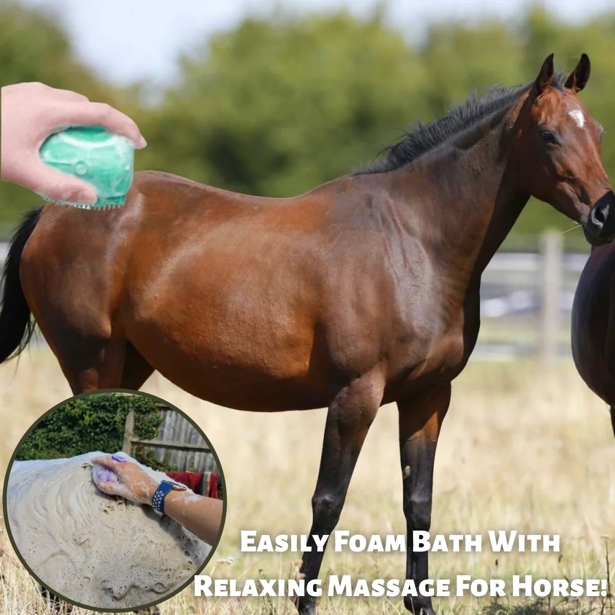 🎉Horse Bath Foamy Massage Brush