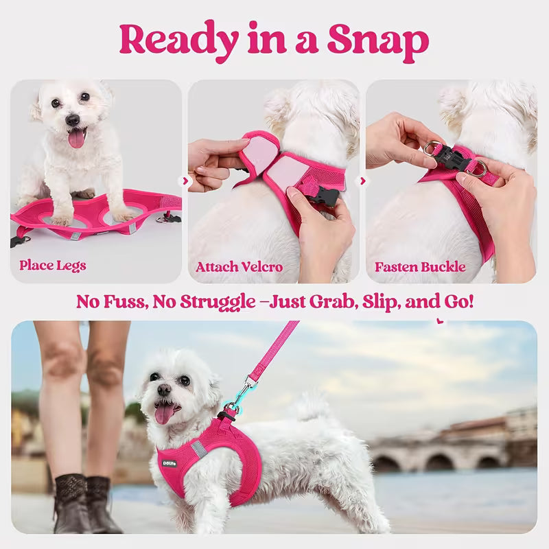 Step-In Reflective Mesh Pet Harness and Leash Set