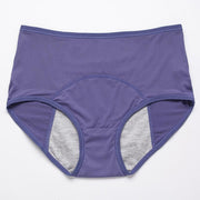 🎉Buy 3 Get 2 Free - High-waisted Leak-proof Protective Panties
