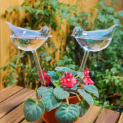 (🔥SAVE 47% OFF) Self-Watering Plant Glass Bulbs