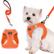 Step-In Reflective Mesh Pet Harness and Leash Set
