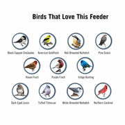 🔥Bird Feeder