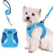 Step-In Reflective Mesh Pet Harness and Leash Set