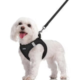 Step-In Reflective Mesh Pet Harness and Leash Set