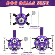 Interactive Pet Soccer Ball Tug of War Toy with Handle