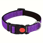 Adjustable Reflective Padded Nylon Safety Pet Collar